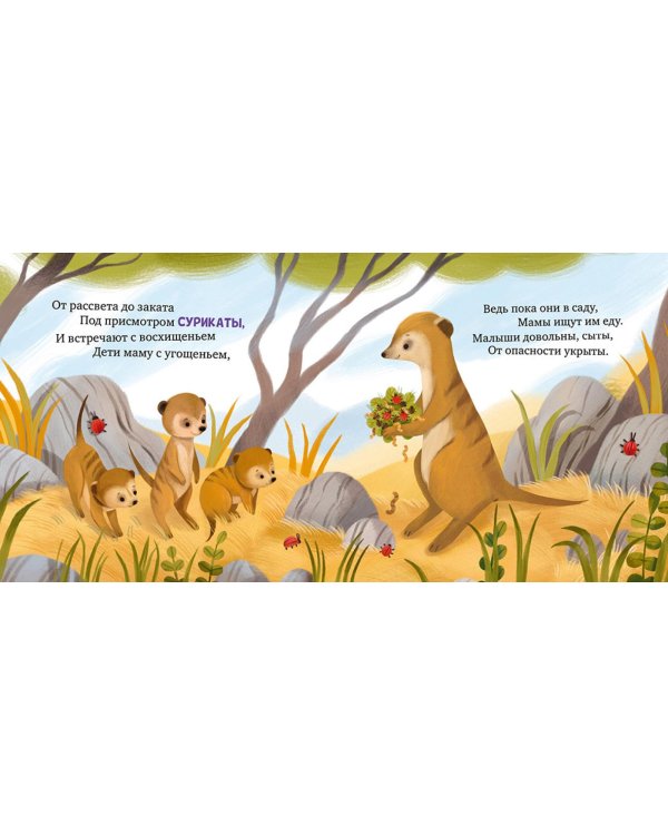 Детский сад для зверят