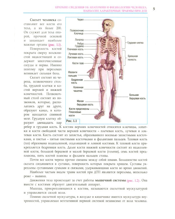 ПДД РФ + Экзаменационные (тематические) задачи+Первая помощь при ДТП+Экзаменационные билеты+Экзамены в ГИБДД (комплект из 5-ти книг)