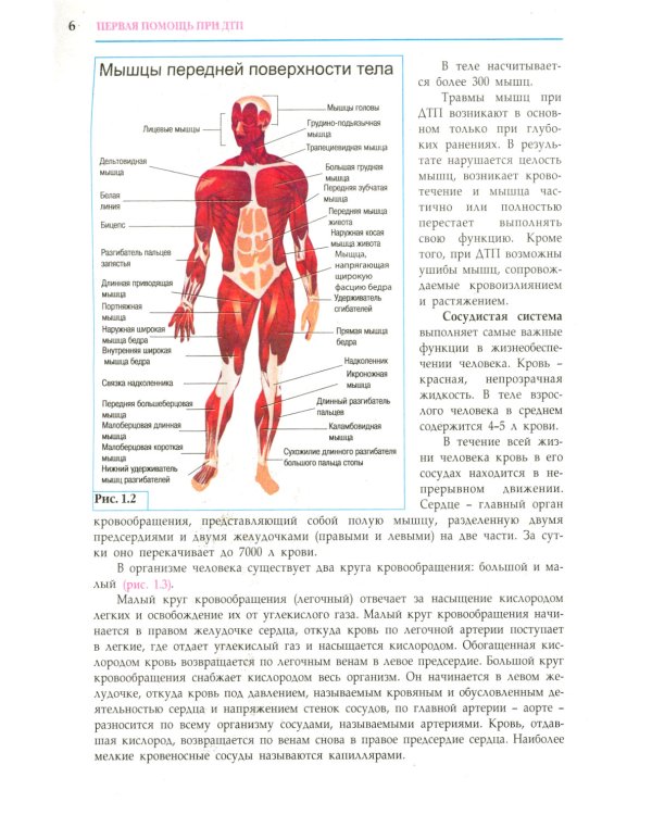 ПДД РФ + Экзаменационные (тематические) задачи+Первая помощь при ДТП+Экзаменационные билеты+Экзамены в ГИБДД (комплект из 5-ти книг)