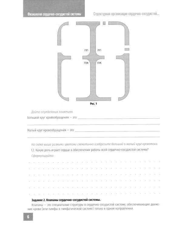 Нормальная физиология. Физиология сердечно-сосудистой системы. Рабочая тетрадь