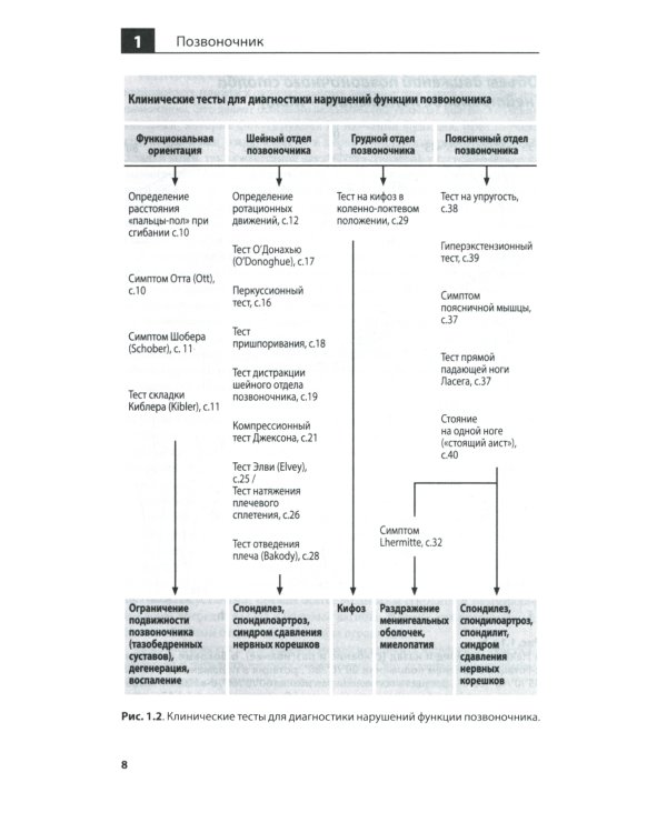 Клиническое исследование костей, суставов и мышц. 3-е изд., перераб. и доп