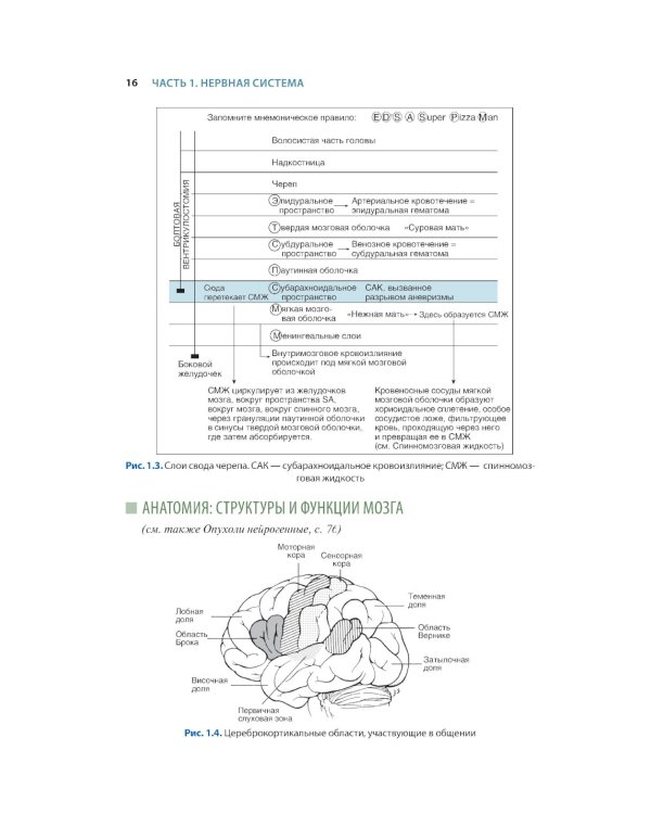 Краткий справочник по интенсивной терапии