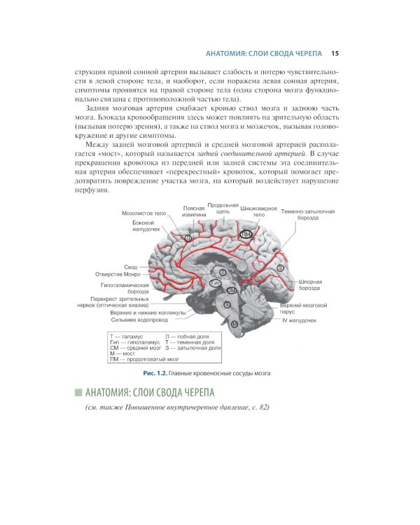 Краткий справочник по интенсивной терапии