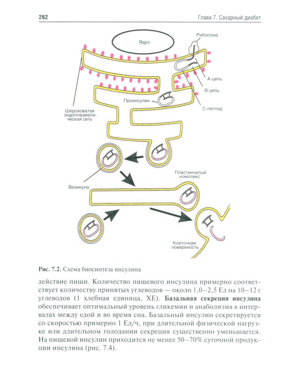 Эндокринология. Учебник. 3-е изд., перераб.и доп