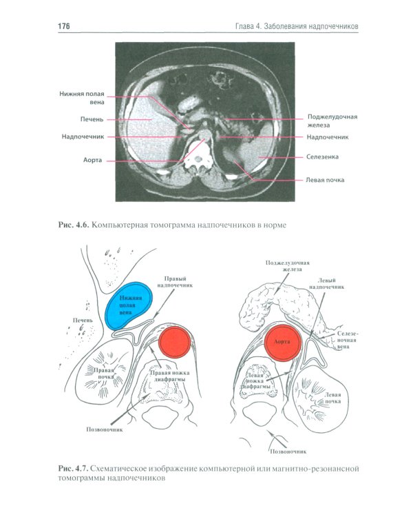 Эндокринология. Учебник. 3-е изд., перераб.и доп