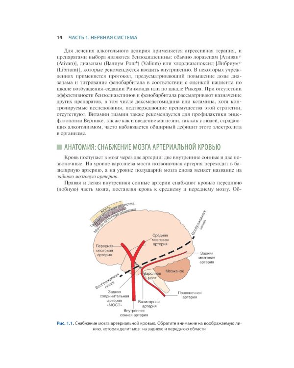 Краткий справочник по интенсивной терапии