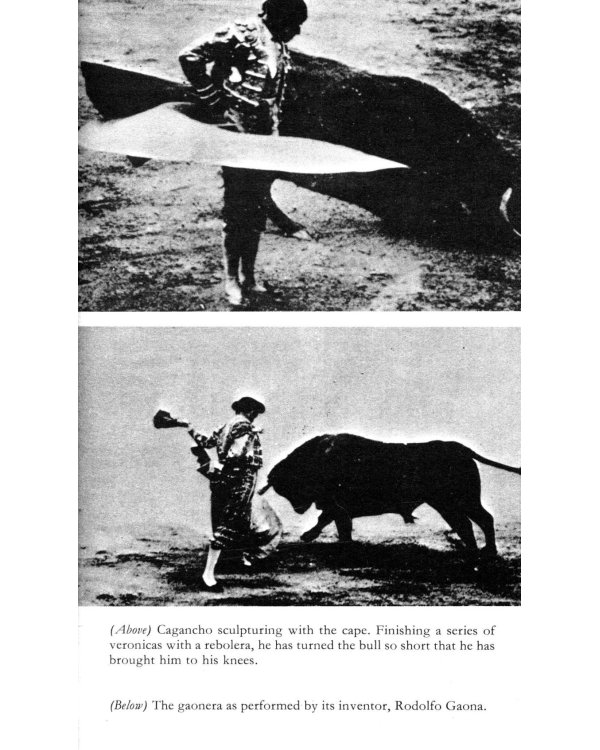 Death in the Afternoon