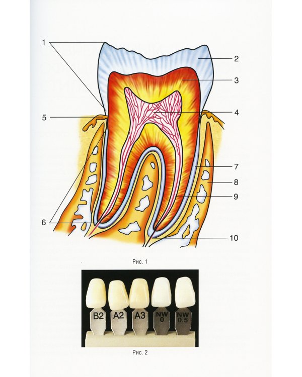 Русский язык и культура речи. Практикум: Учебное пособие