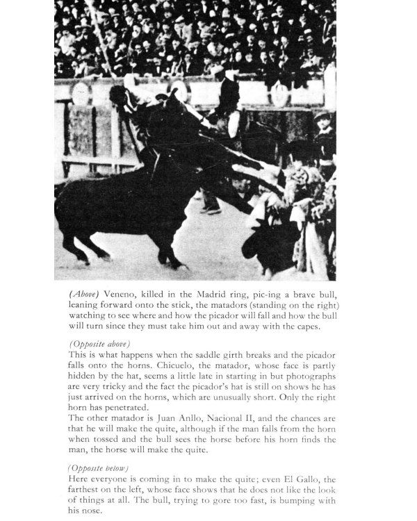 Death in the Afternoon