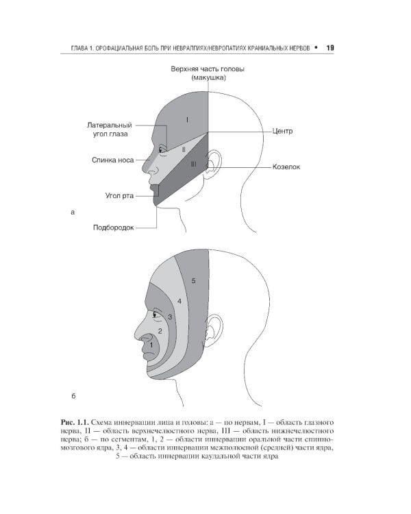 Неврологические орофациальные заболевания и синдромы: руководство для врачей
