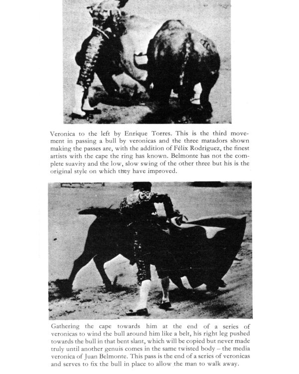 Death in the Afternoon