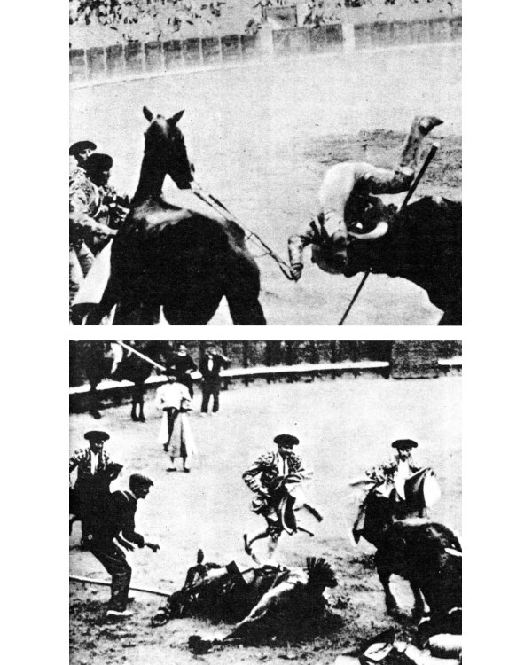 Death in the Afternoon