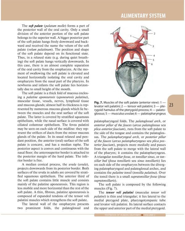 Textbook of Human Anatomy. In 3 vol. Vol. 2: Splanchnology and cardiovascular system: на англ.яз