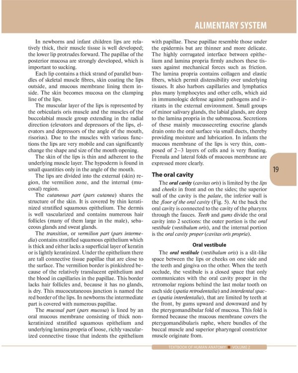 Textbook of Human Anatomy. In 3 vol. Vol. 2: Splanchnology and cardiovascular system: на англ.яз