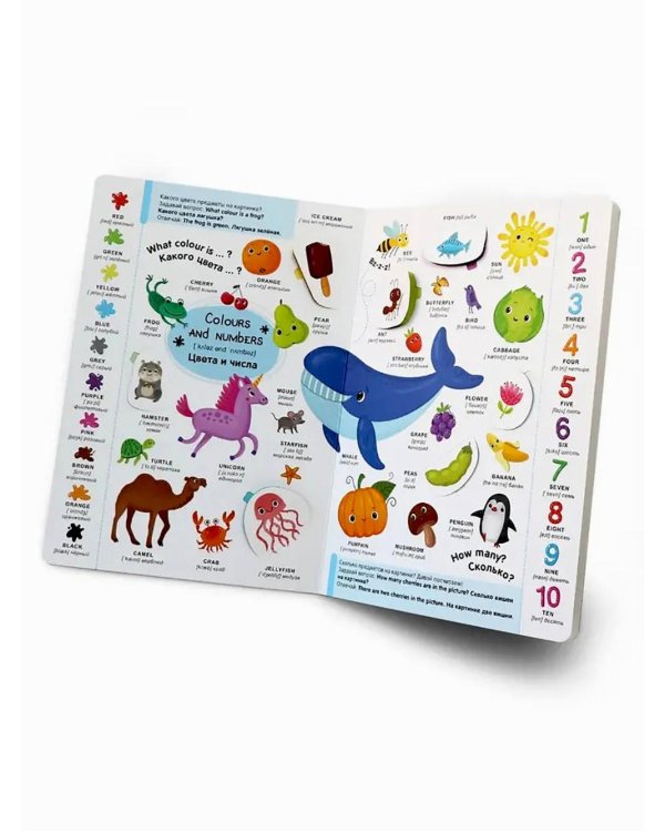 Английские слова: книжка с окошками