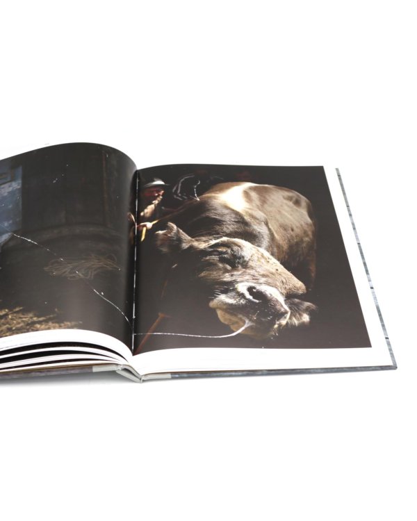 Родина. В 2 т