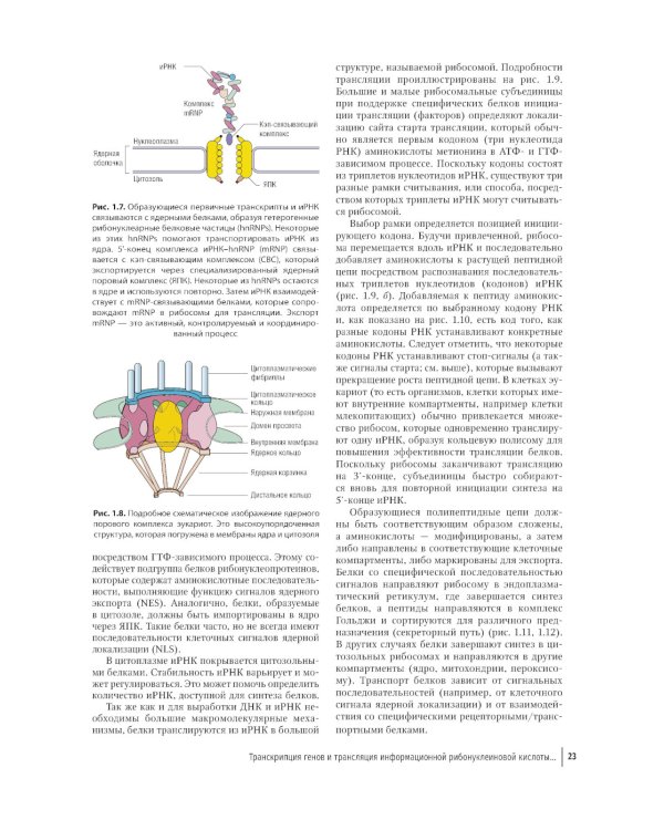 Цветной атлас по клинической гематологии: молекулярная и клеточная основа заболеваний : руководство