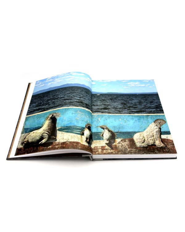 Родина. В 2 т