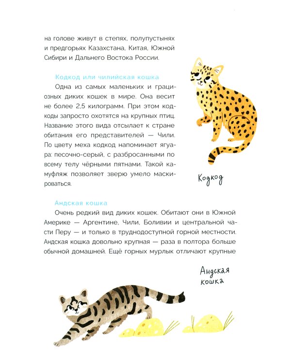 Хочу котенка! Полное пособие по уходу за питомцем