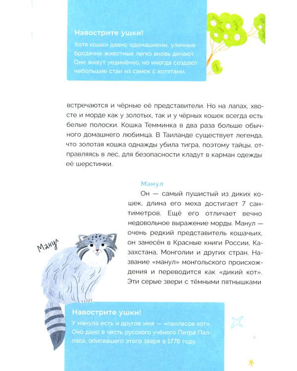 Хочу котенка! Полное пособие по уходу за питомцем