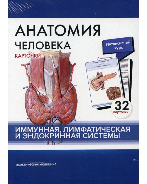 Анатомия человека: карточки. (32 шт). Иммунная, лимфатическая и эндокринная системы
