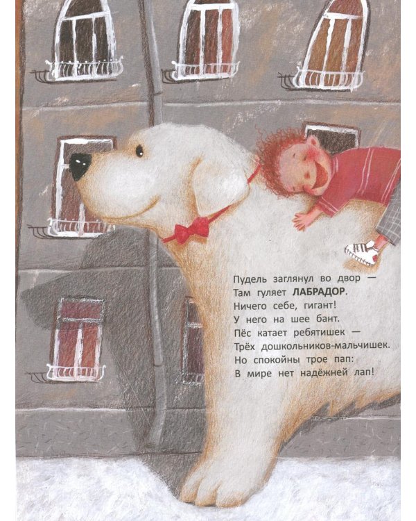 Вышел пудель погулять