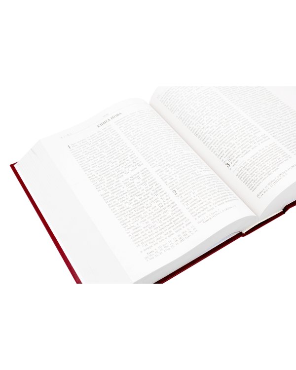 Библия. Книги Священного Писания Ветхого и Нового Завета