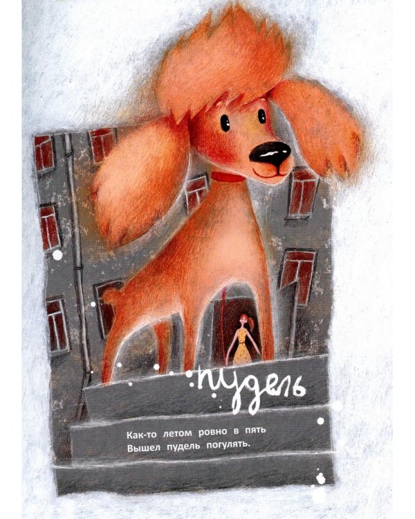 Вышел пудель погулять