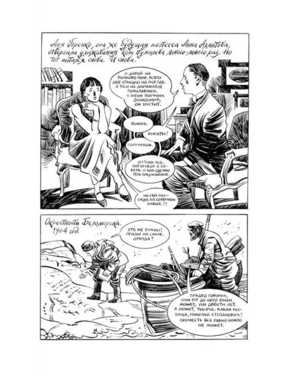 Меня зовут Гумилев: комикс