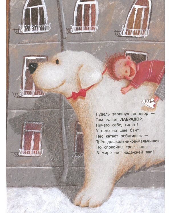 Вышел пудель погулять