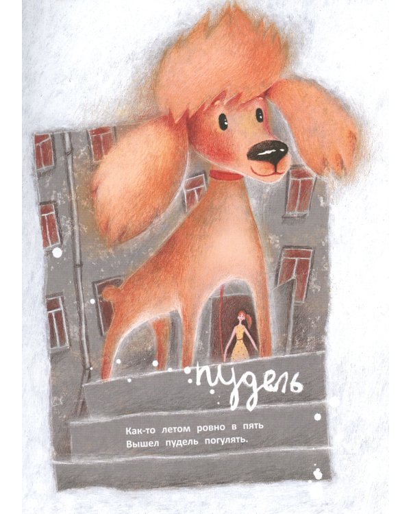 Вышел пудель погулять