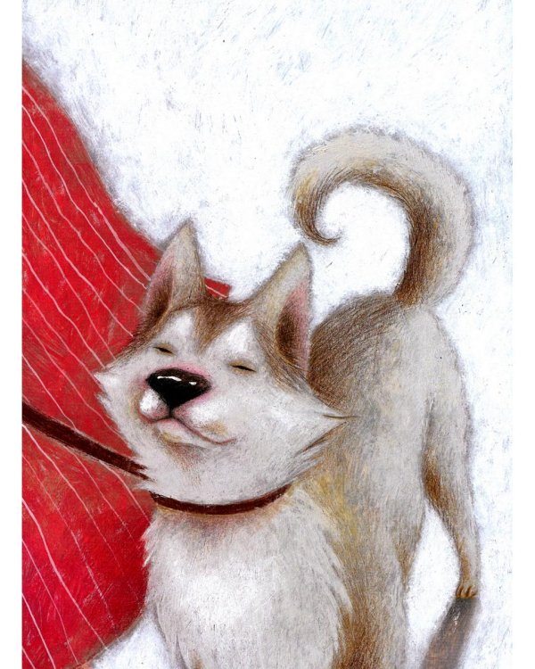 Вышел пудель погулять