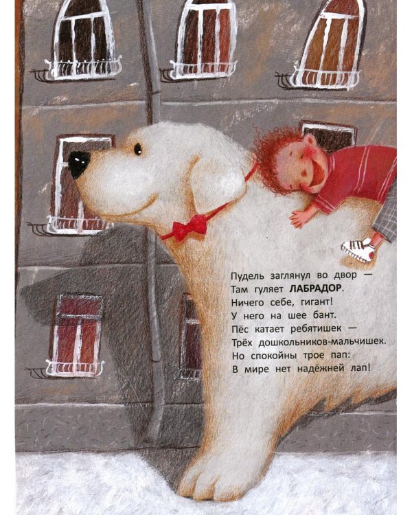 Вышел пудель погулять