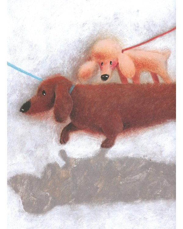 Вышел пудель погулять