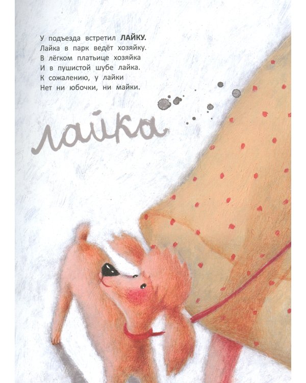 Вышел пудель погулять