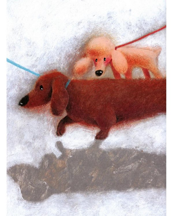 Вышел пудель погулять