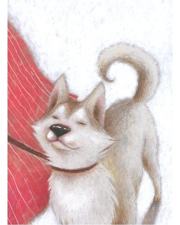 Вышел пудель погулять