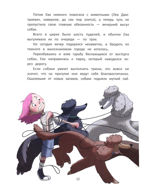 Цирковой детектив, или Тайна одного клада