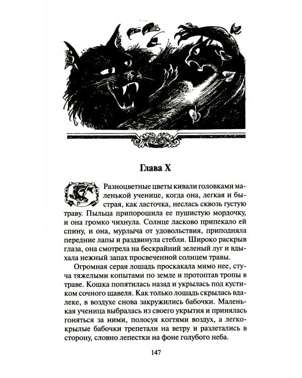 Коты-воители. Долгое эхо