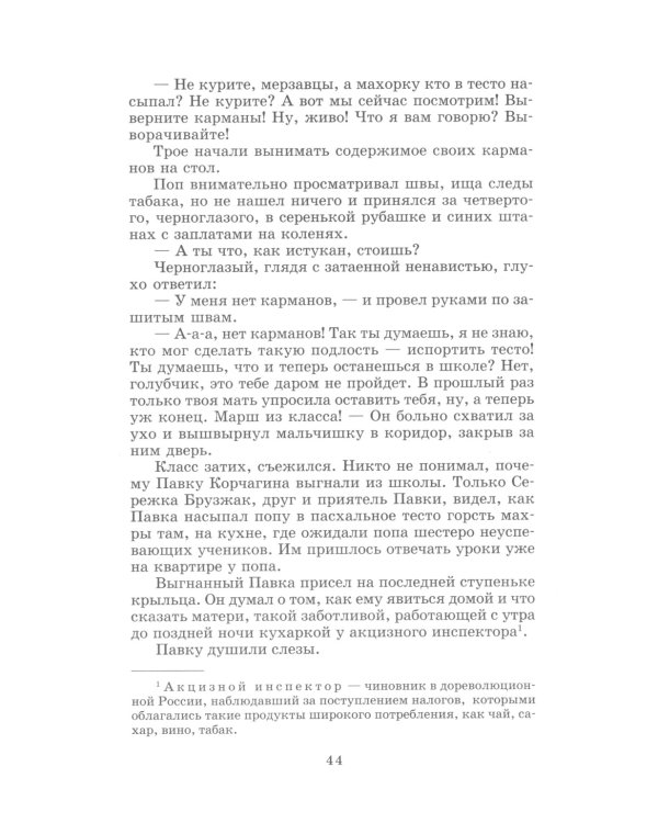 Как закалялась сталь: роман