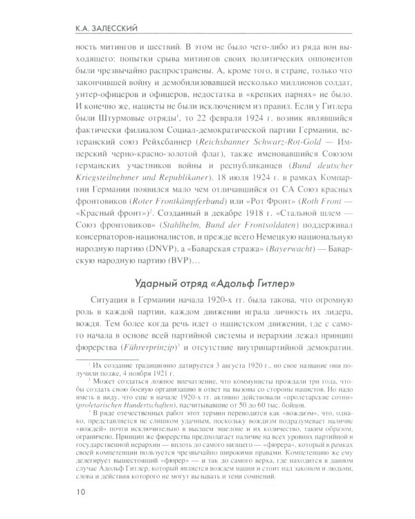 Государство террора. СС в системе власти Третьего рейха