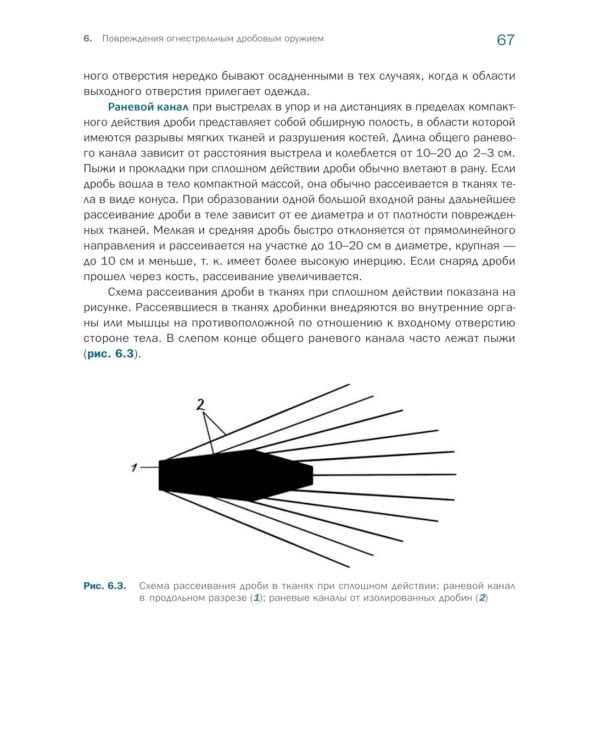 Судебно-медицинская экспертиза огнестрельной травмы. Учебное пособие