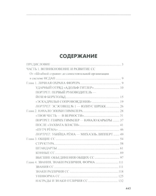Государство террора. СС в системе власти Третьего рейха