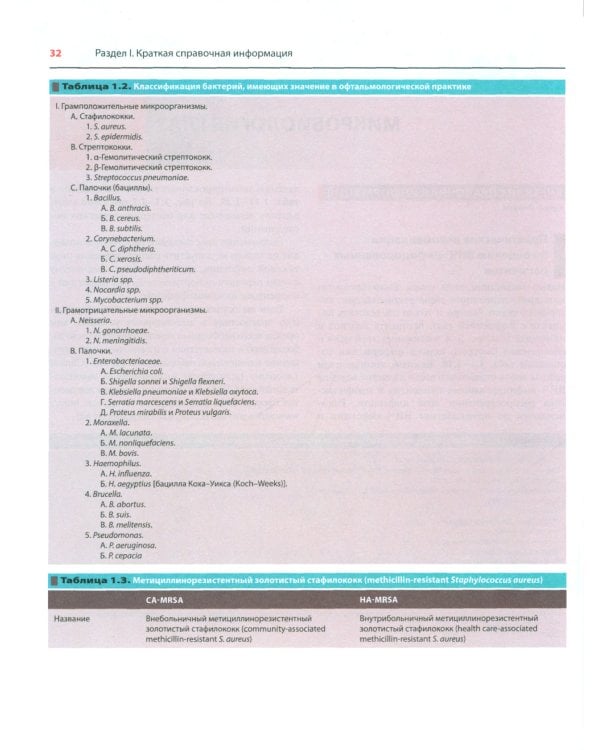 Офтальмотерапия. Клиническое руководство
