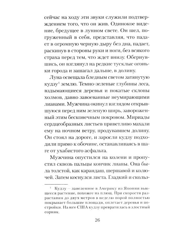 Голоса темной долины: роман