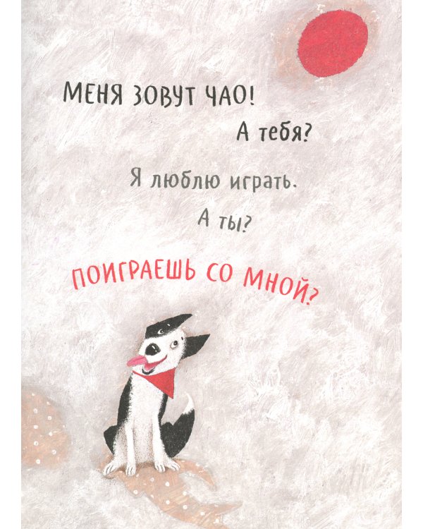 Чао, давай дружить!