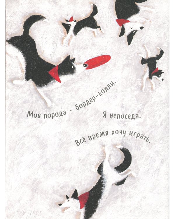 Чао, давай дружить!