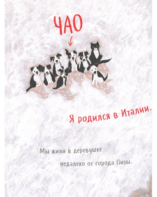 Чао, давай дружить!