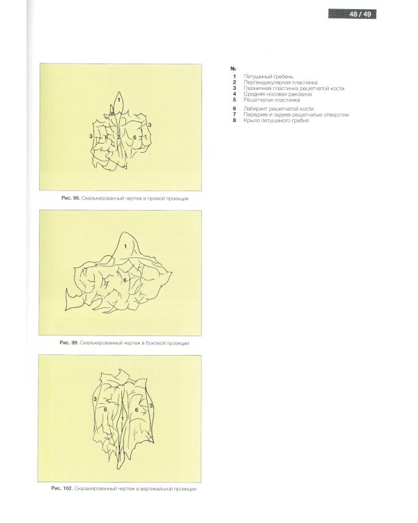 Атлас рентгенологической цефалометрии