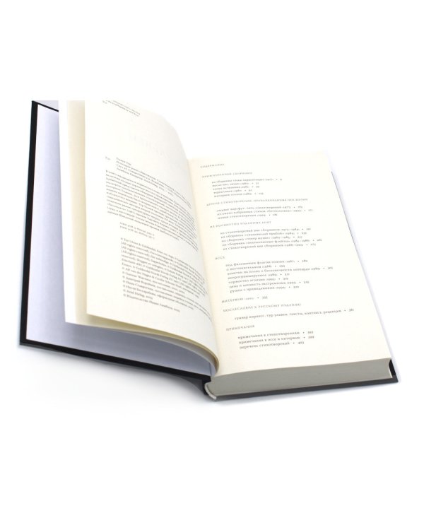 Исчезание равно образованию: Стихотворения и эссе. 2-е изд